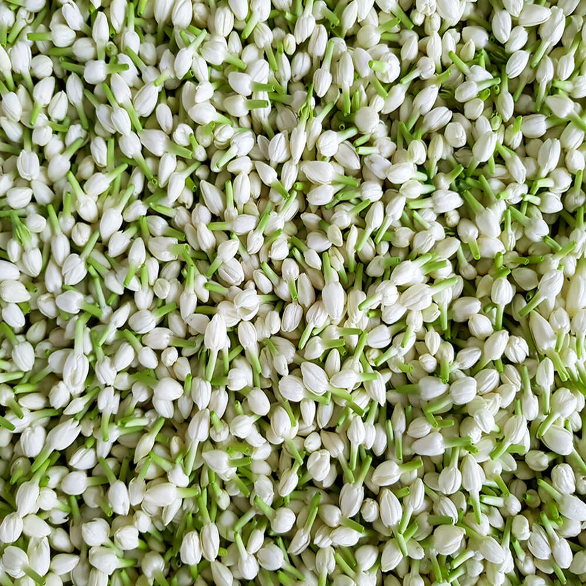 Super Multi-Corrective Cream SPF30