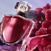 La Vie Est Belle Elixir Eau de Parfum 30 ml Wells Image 2