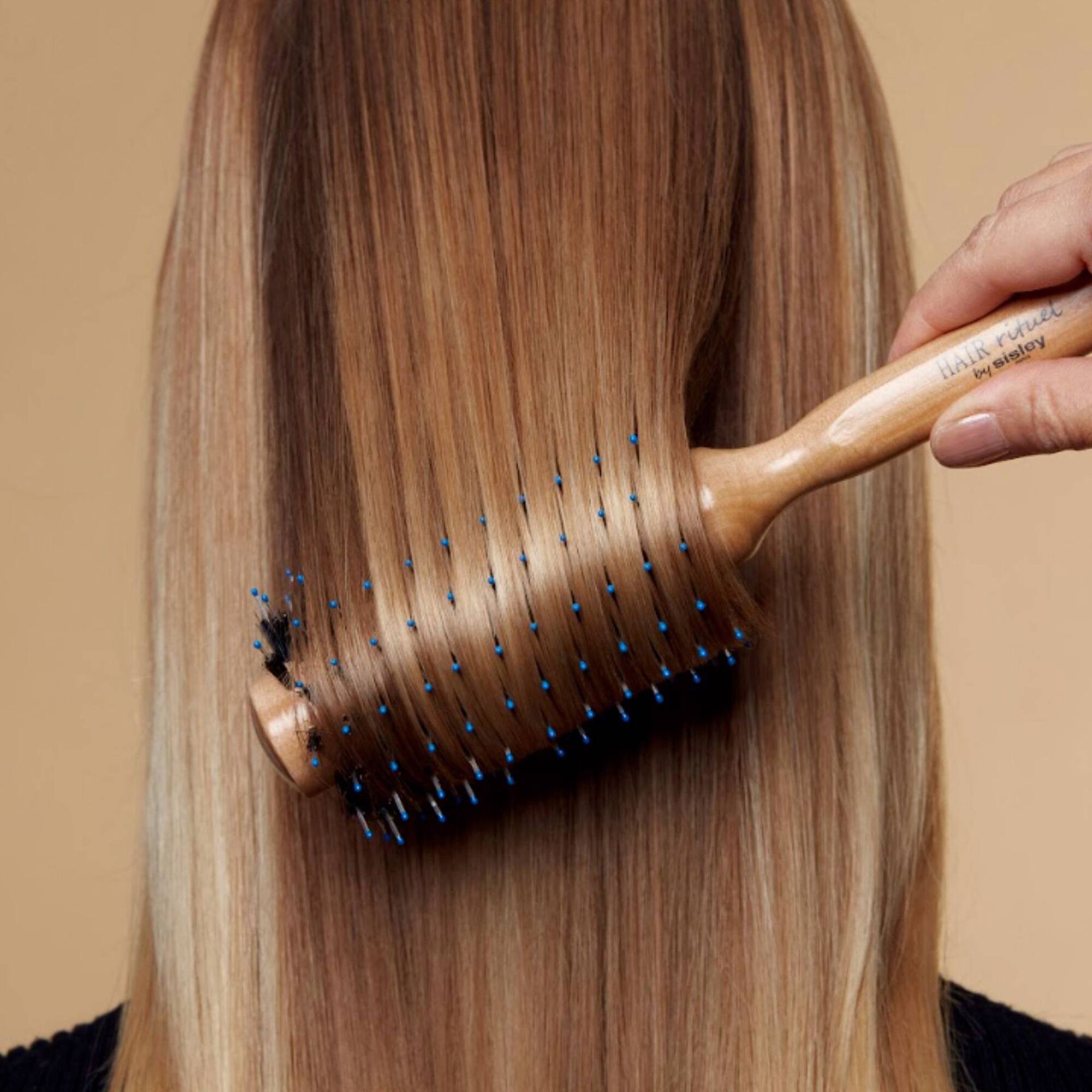 La Brosse Brushing nº 2