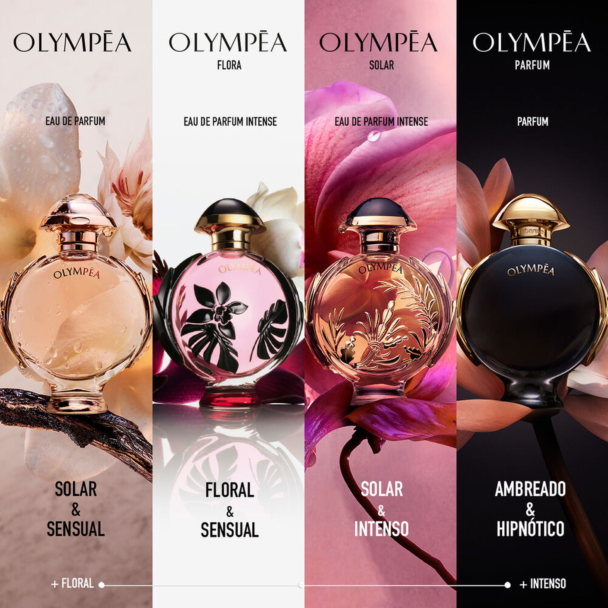 Rabanne Olympéa Parfum 
