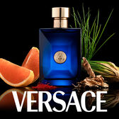 Versace Dylan Blue EDT 100 ml Wells Image 4