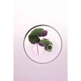 Chroma Absolu Bain Chroma Respect Wells Image 5