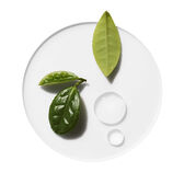 Moisture Surge Eye 96-hour Wells Image 3