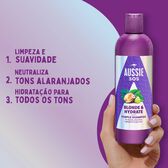 Champô Roxo Blonde Hydrate Wells Image 2