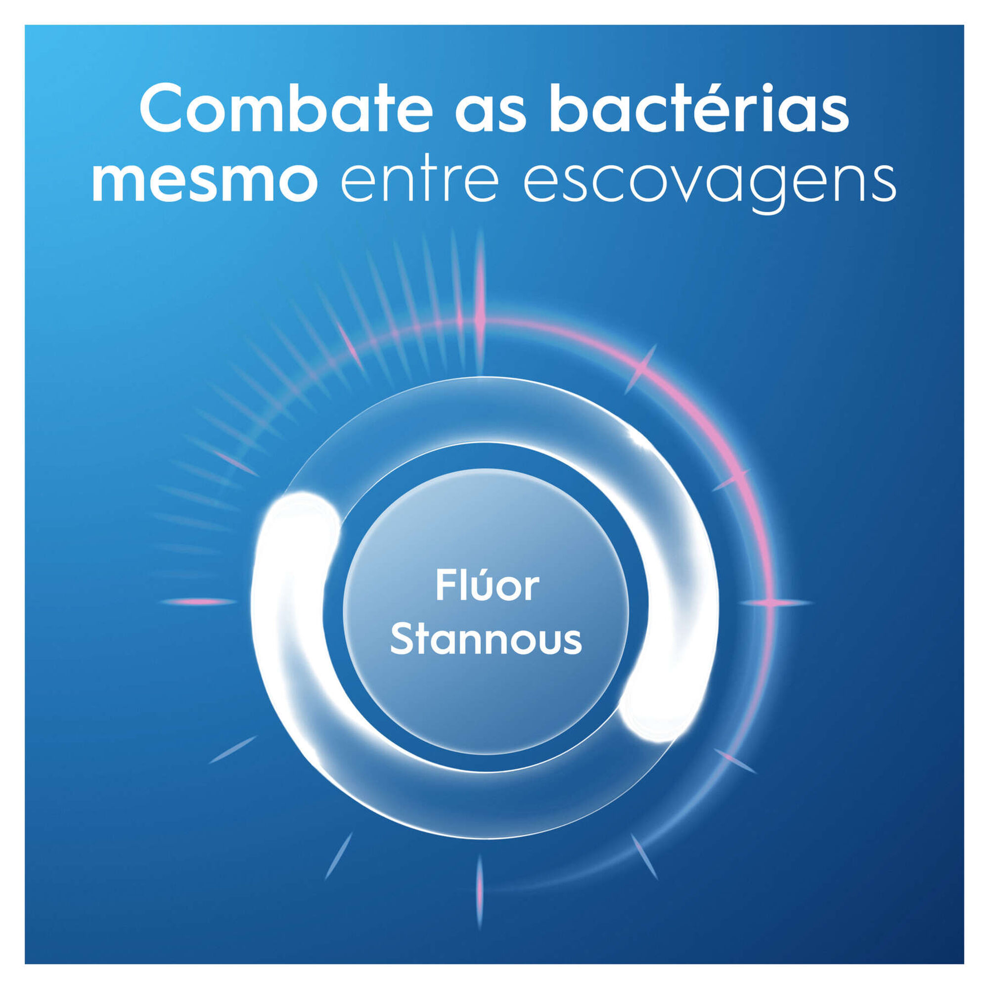 Pro-Expert 24h de Proteção