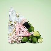 Prada Paradoxe Virtual Flower EDP Recarga Wells Image 3