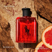 Ralph Lauren Polo Red EDT 75 ml Wells Image 3