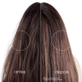 Prickly Pear 72h Hydration&Shine Conditioner Wells Image 3