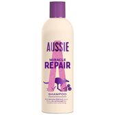 Miracle Repair Shampoo Wells Image 1