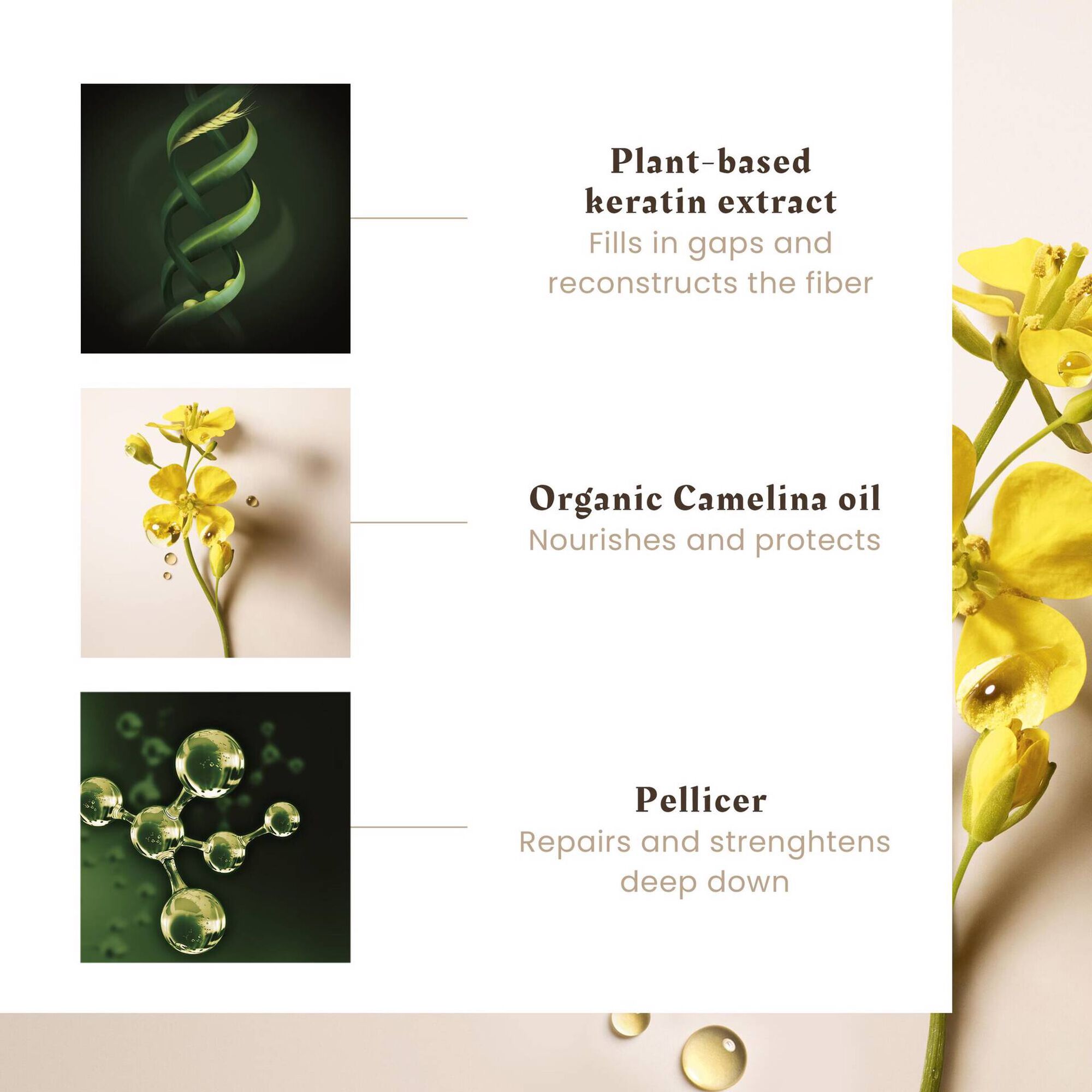 Absolue Kératine Renewal Care Serum