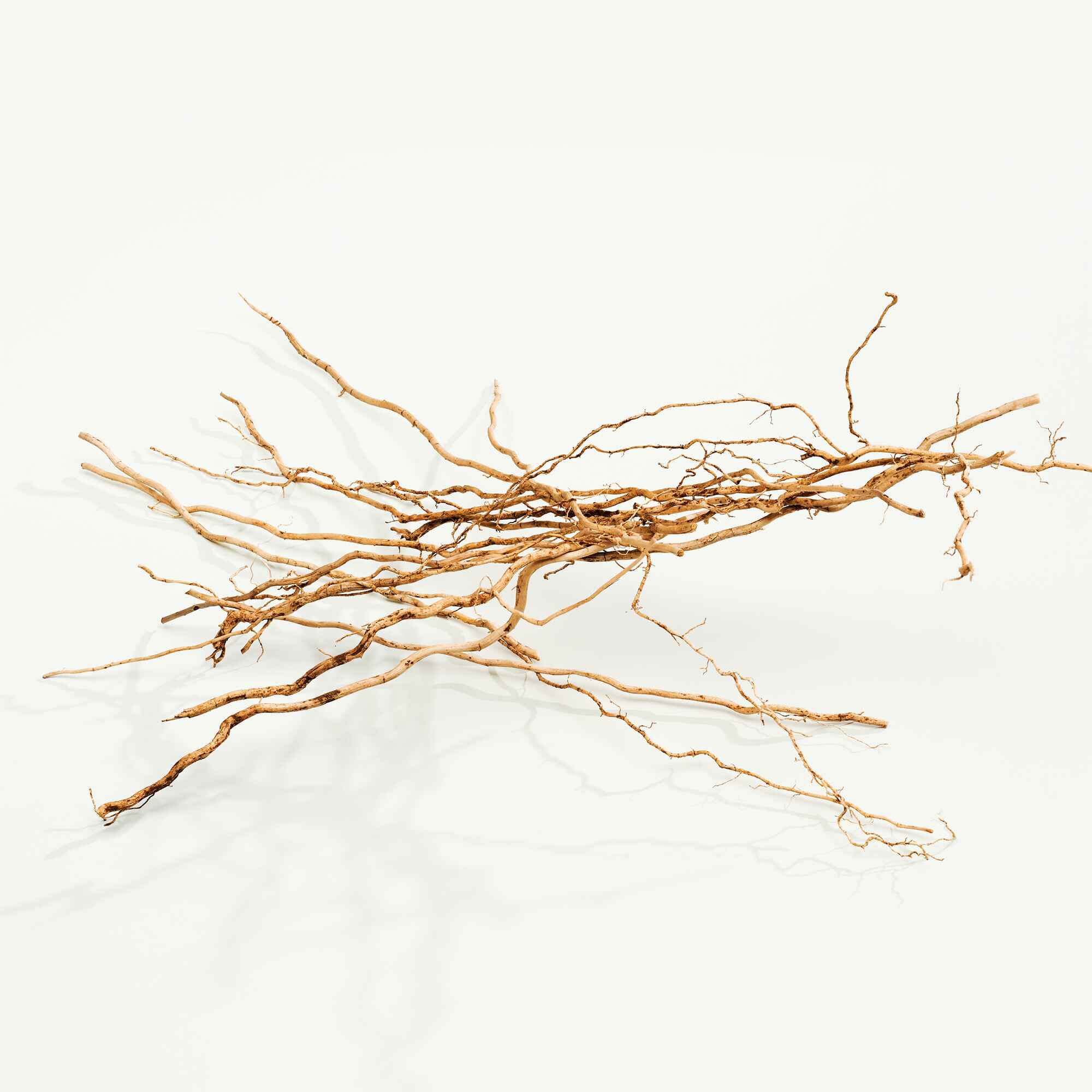 Calvin Klein Everyone EDP