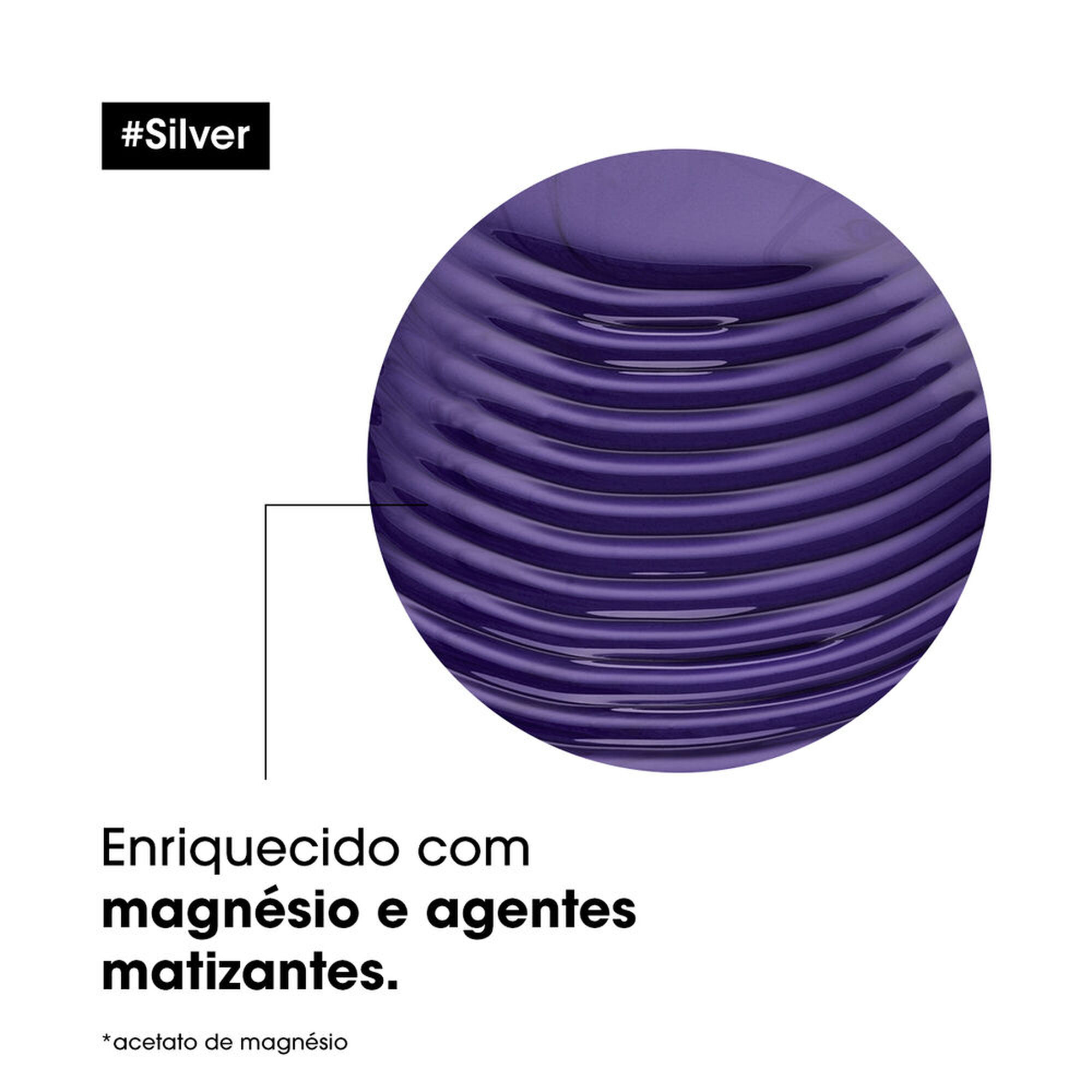 Serie Expert Silver Shampooing