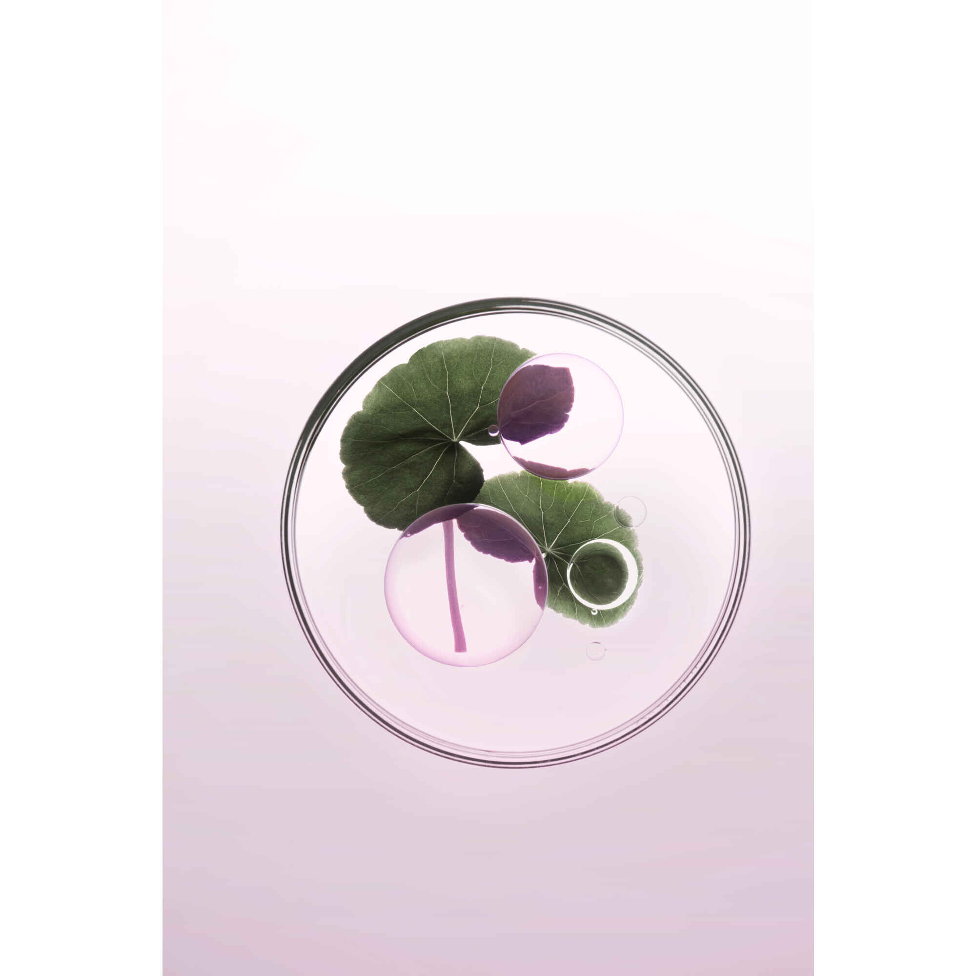 Chroma Absolu Masque Chroma Filler