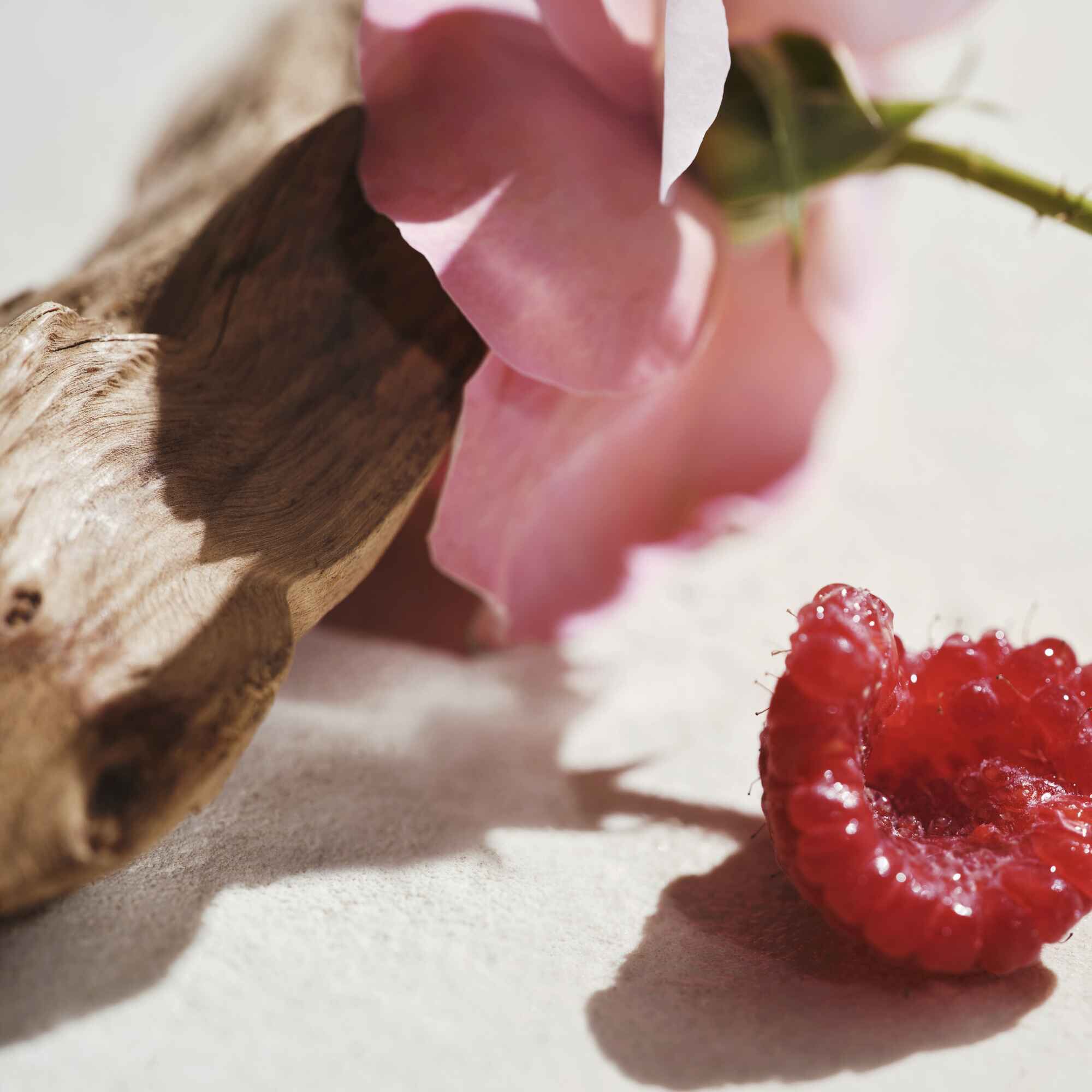 Chloé L´Eau de Parfum Intense