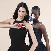 Angel Nova Eau de Parfum Fruitee Wells Image 7