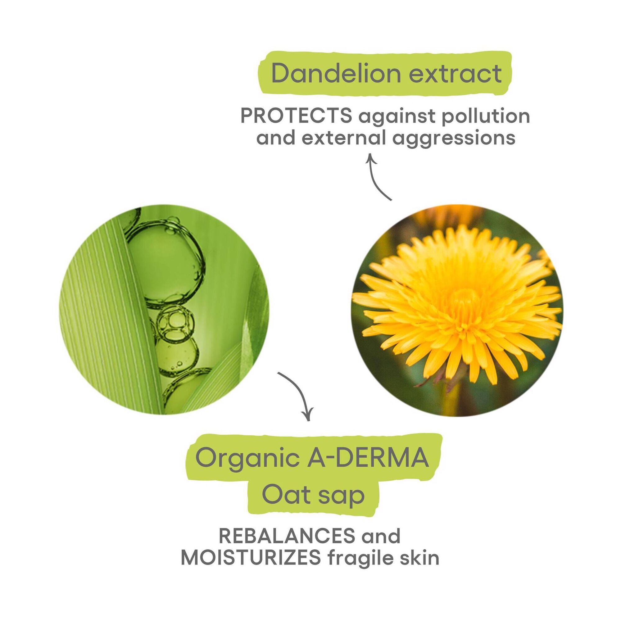 Biology Make-up Remove Lotion Hydra-cleansing