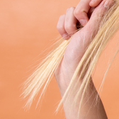 Protect Balm Hair End's & Lip Wells Image 4