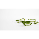 Gel Corporal Calmante Aloé Vera Wells Image 4