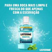 Elixir Sabor a Mentol Wells Image 2