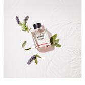 Antonio Banderas Power Of Seduction EDT 50 ml Wells Image 3