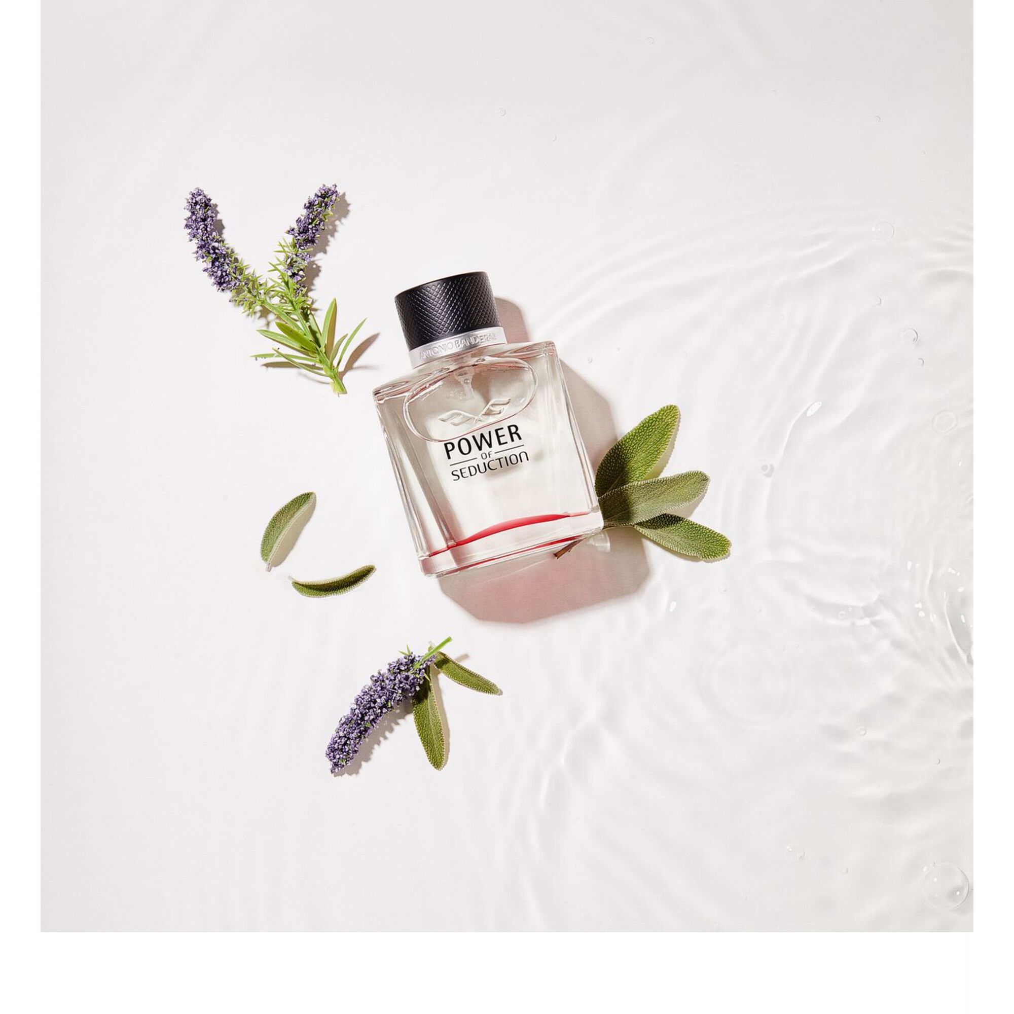 Antonio Banderas Power Of Seduction EDT