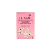 Champô Sólido Hibiskiss Wells Image 1