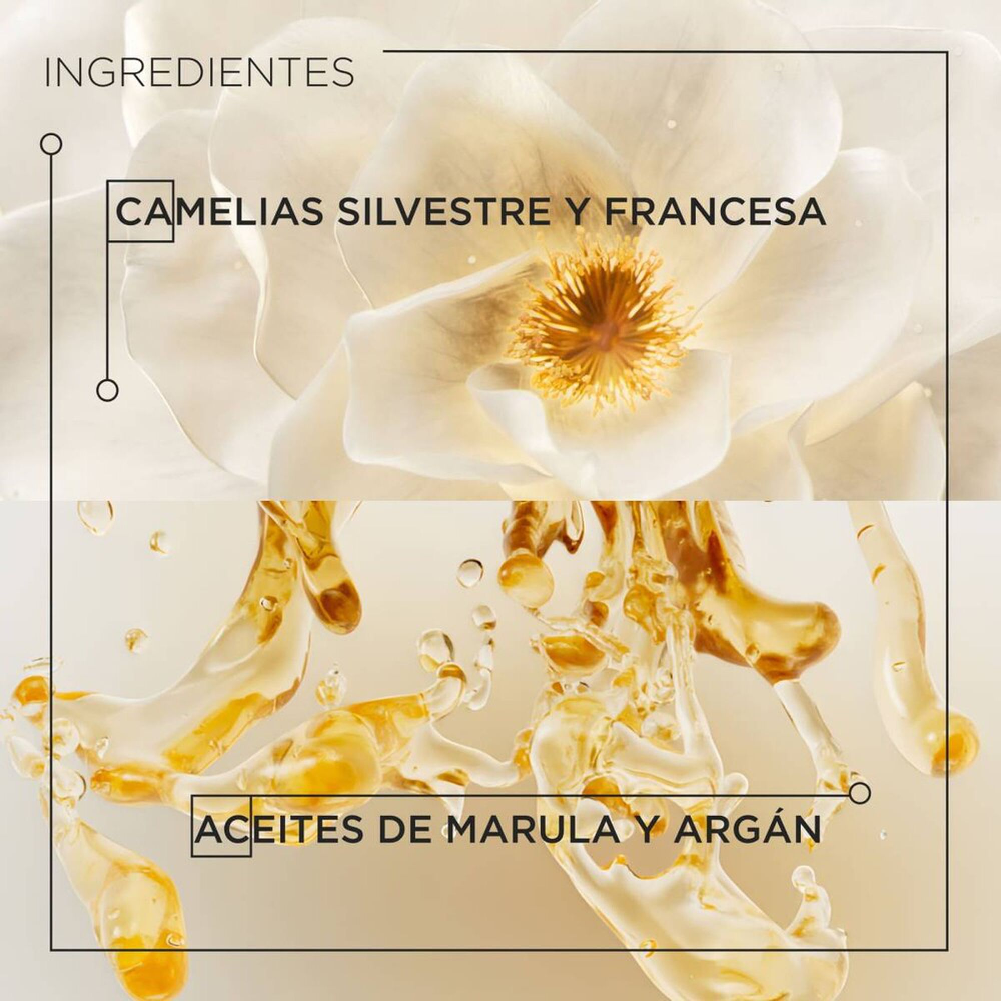 Elixir Ultime L'Huile Refill