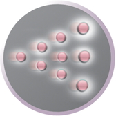 Silk Dryer Professional Wells Image 5