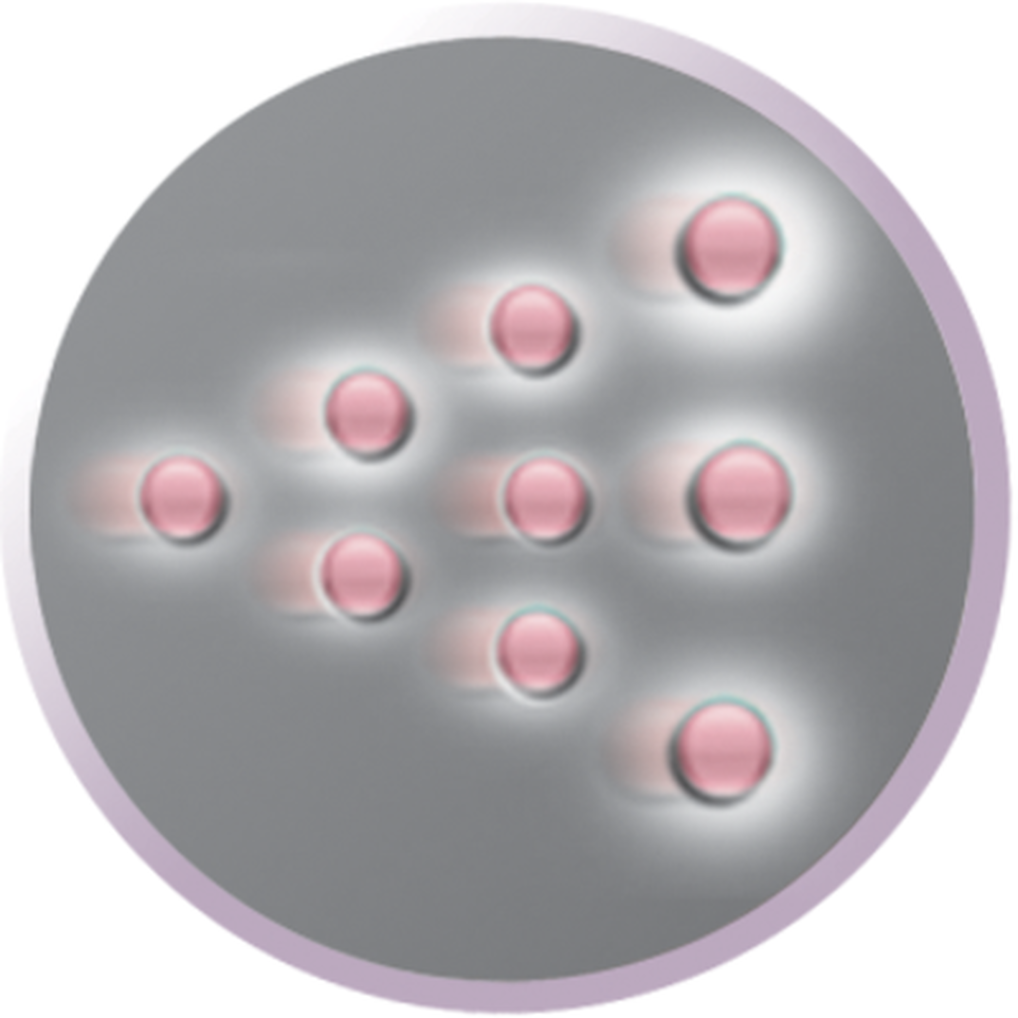 Silk Dryer Professional