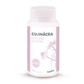 Suplemento Equinácea Sistema Imunitário Wells Image 1