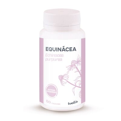 Suplemento Equinácea Sistema Imunitário Suplemento Equinácea Sistema Imunitário