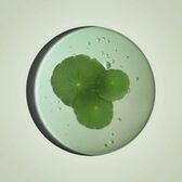 Aquasource Cica Nutri Cream Wells Image 2