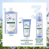 Flax Dry Shampoo Volume Wells Image 5