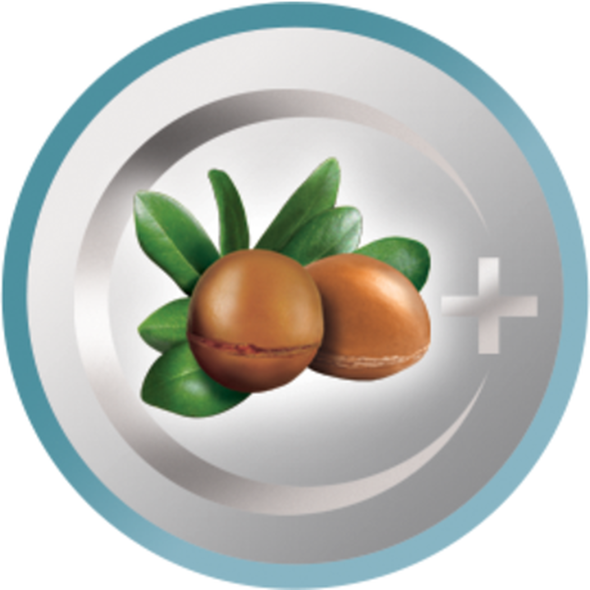 Shine Therapy Straightener S8500