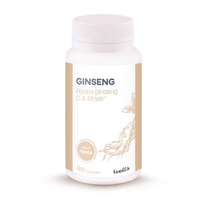 Suplemento Ginseng Redução Fadiga Suplemento Ginseng Redução Fadiga