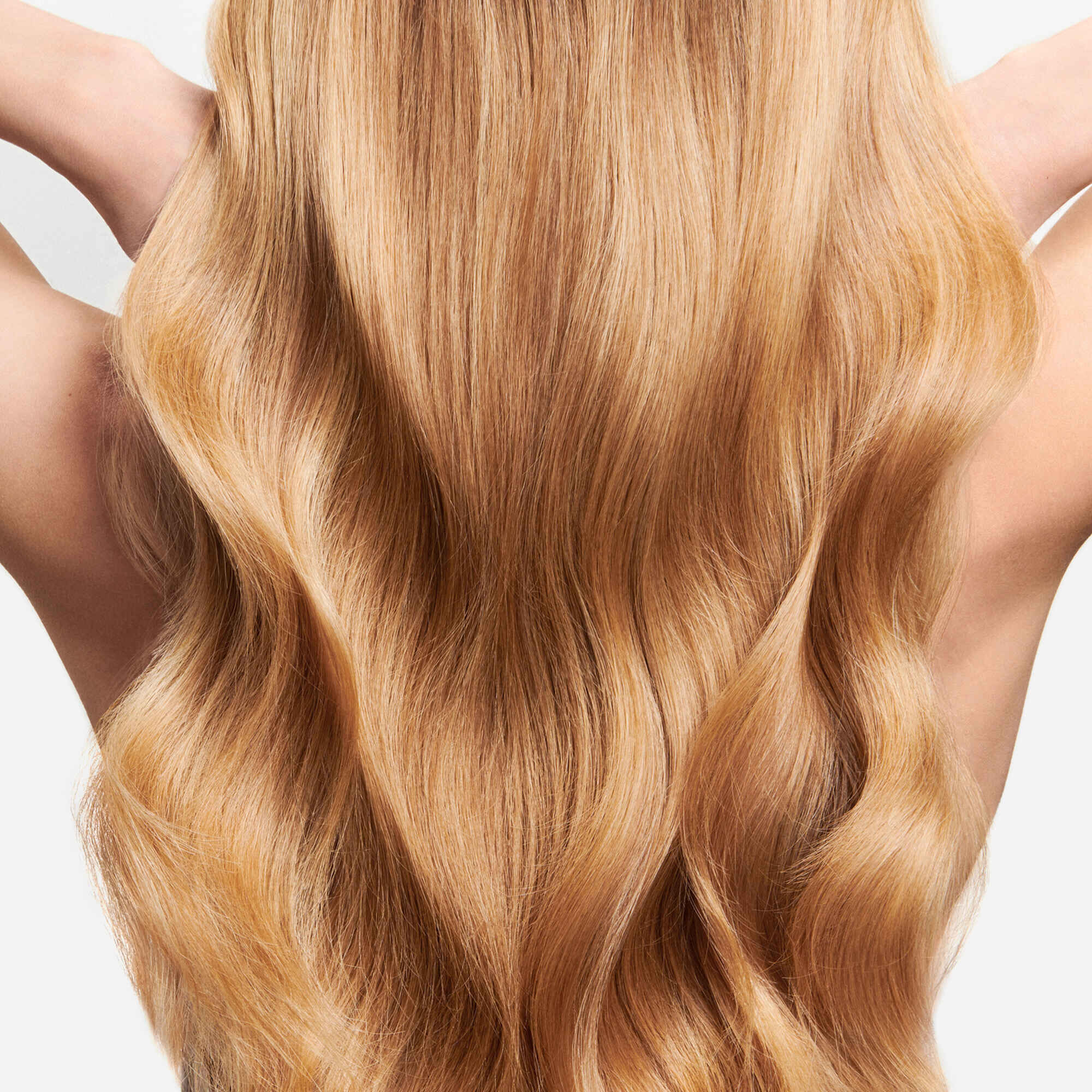 Oil Reflections Luminous Reveal Shampoo
