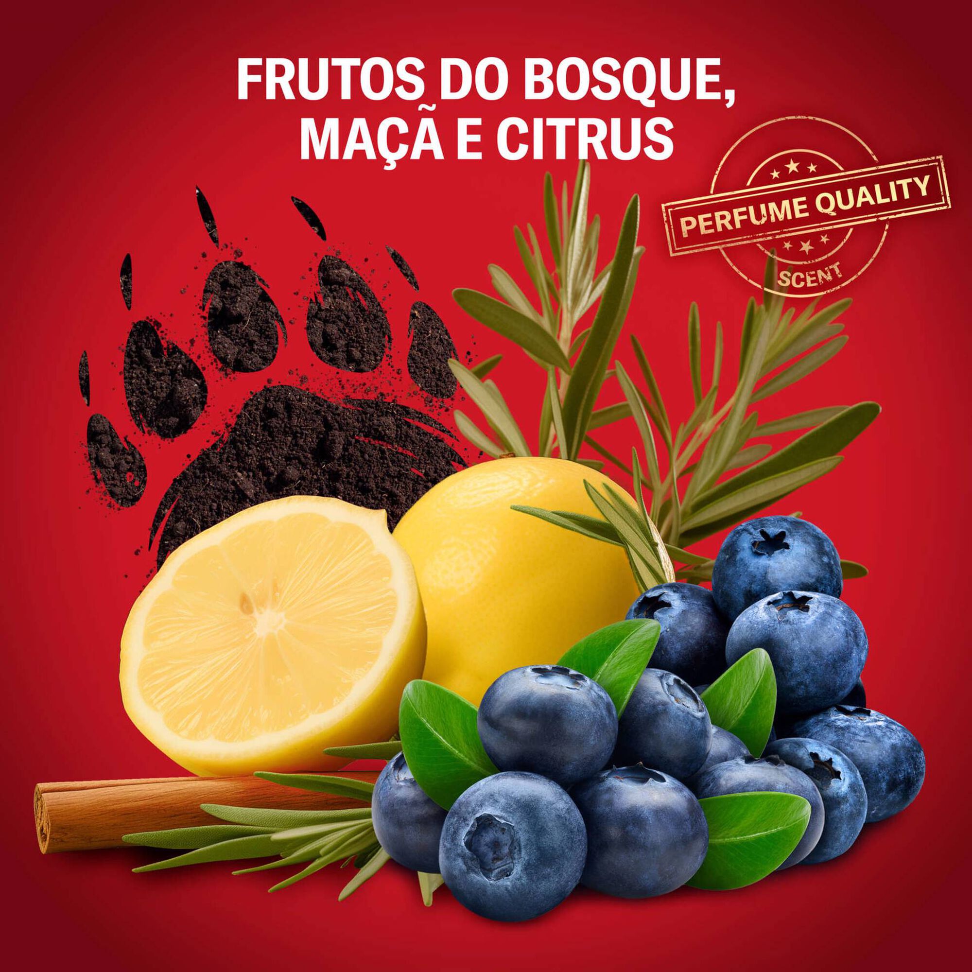 Bearglove Perfume Quality Scent 24/7 Fresh