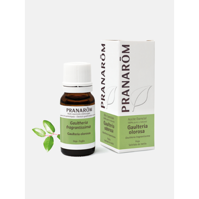 Óleo Essencial Gaultéria Fragantissima