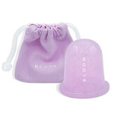 Copo de Sucção Corpo com Bolsa Wells Image 1