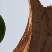 Hugo Boss Bottled EDT 30 ml Wells Image 8