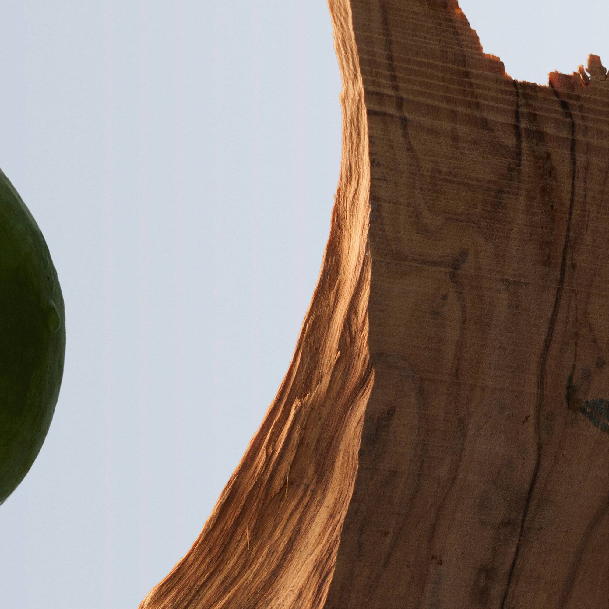 Hugo Boss Bottled EDT