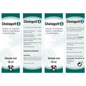 Solução Oral Saúde do Fígado e Vesícula Wells Image 2