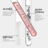 Première Concentré Décalcifiant Réparateur 250 ml Wells Image 6