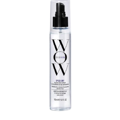 Speed Blow Dry Spray Wells