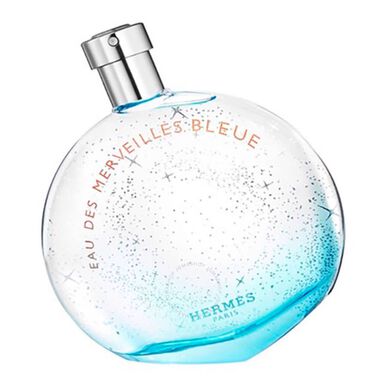 Hermès Eau des Merveilles Bleue EDT Wells